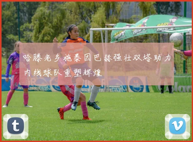 哈滕老乡施泰因巴赫强壮双塔助力内线球队重塑辉煌