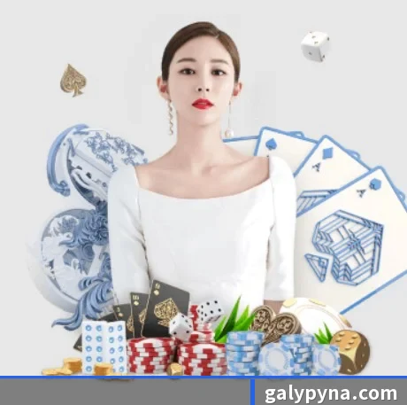 快速发展 - 业务规模迅速扩张,合作伙伴遍布全球,用户数量突破500万大关。
